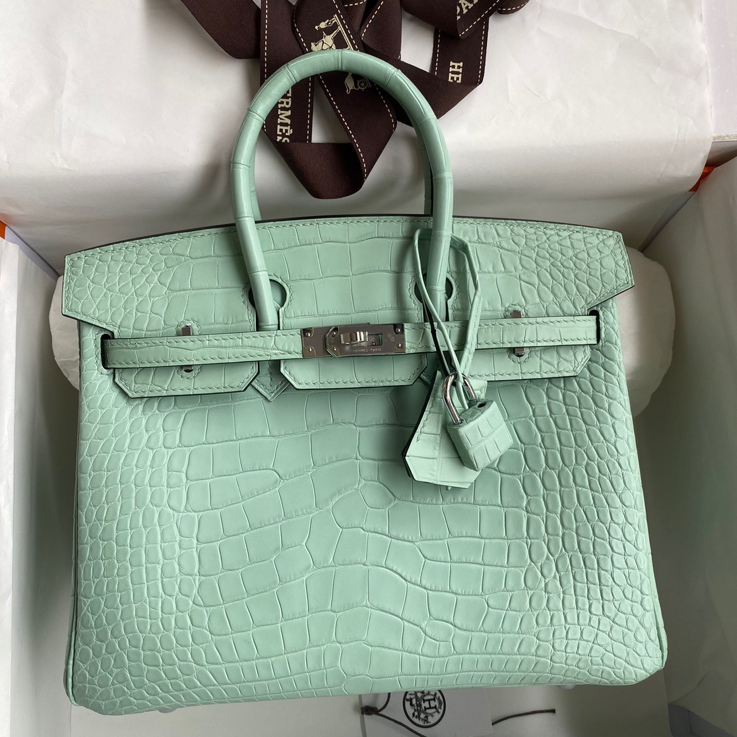 Hermes Birkin 25 Retourne Handmade Bag In Vert D'eau Matte Alligator Leather