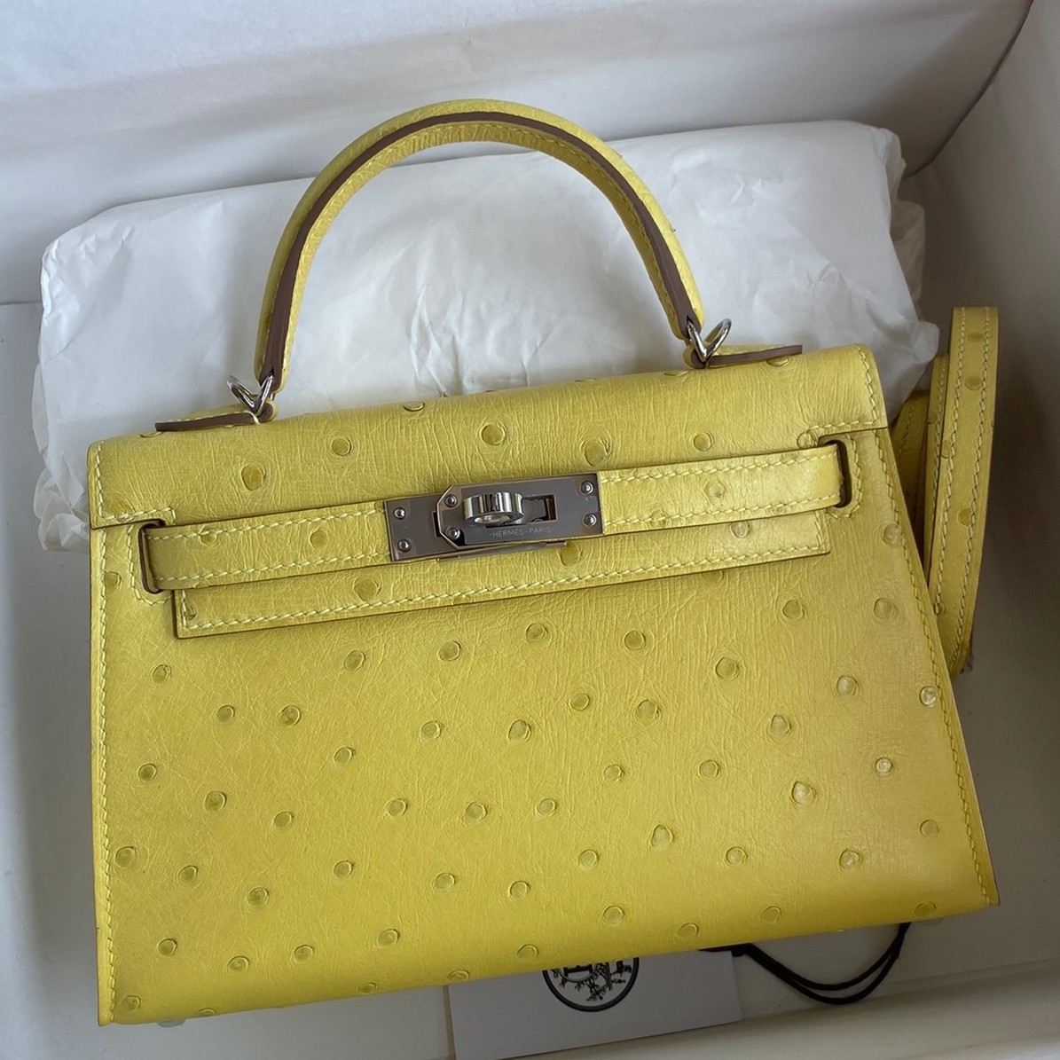 Hermes Kelly Mini II Sellier Handmade Bag In Lime Ostrich Leather