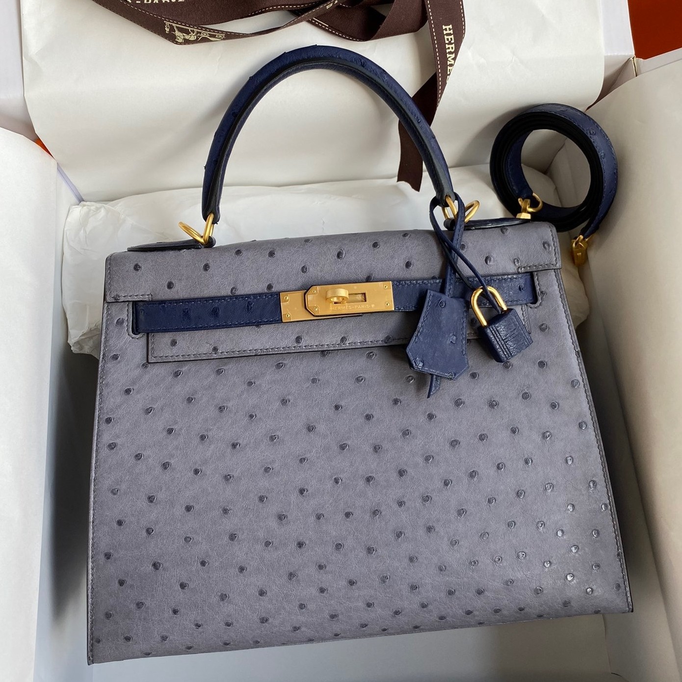 Hermes Kelly Sellier 25 Bicolor Bag in Gris Agate and Blue Ostrich Leather